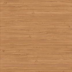 02edf7783c11404a20f7e9d582ee8515