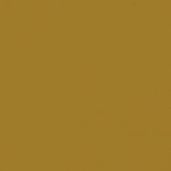 1063 6 Горчичный