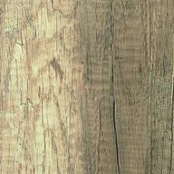 669 Morbida Дуб старый